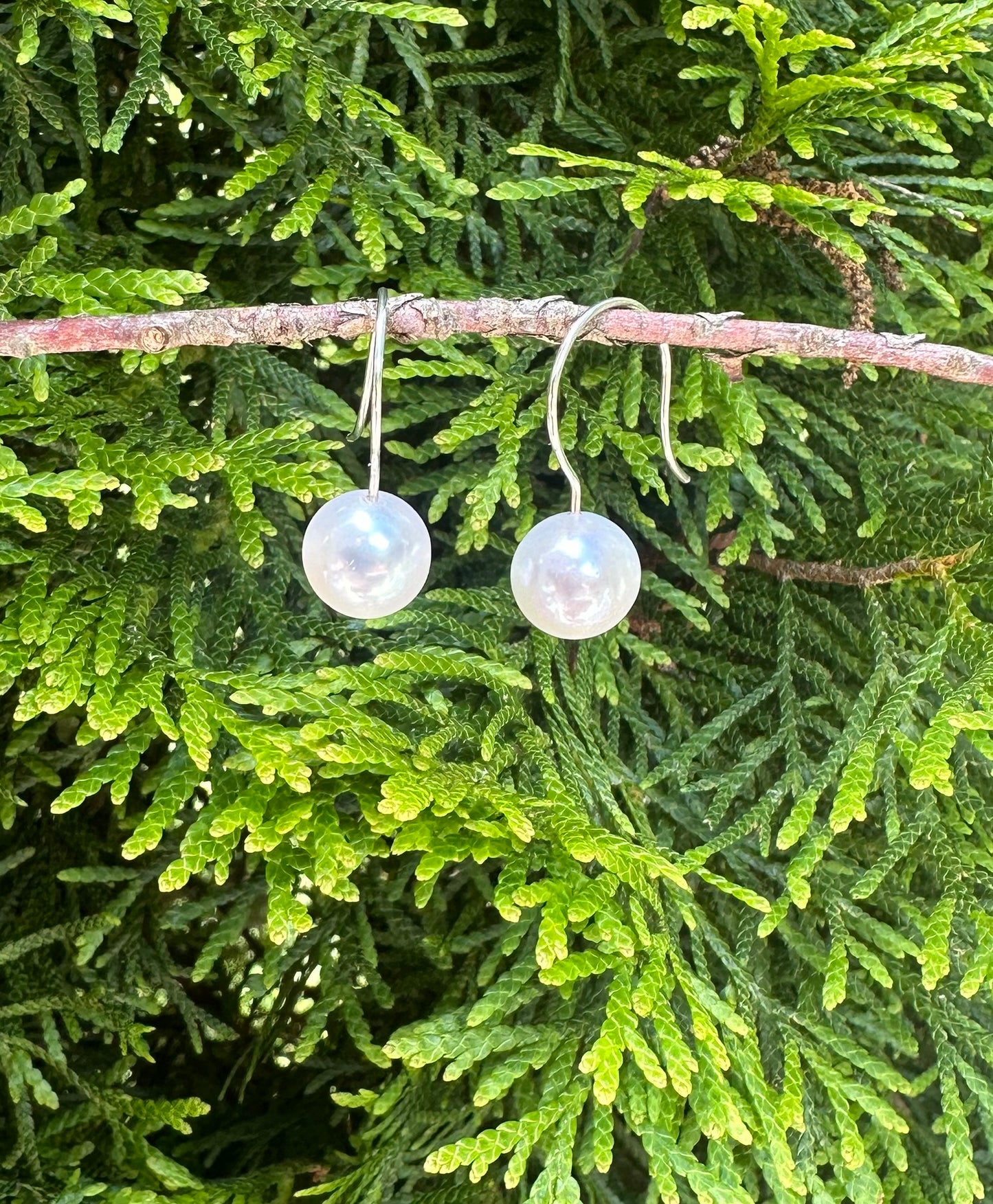 Simple Classic Pearl Earrings